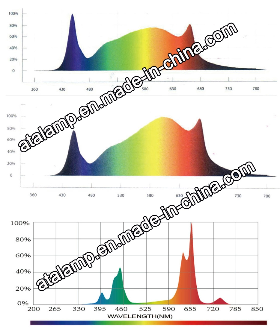 Chinese Suppliers Beam Angle Full Spectrum IP65 1000W Waterproof Quantum Board LED Grow Light for Automated Hydroponic