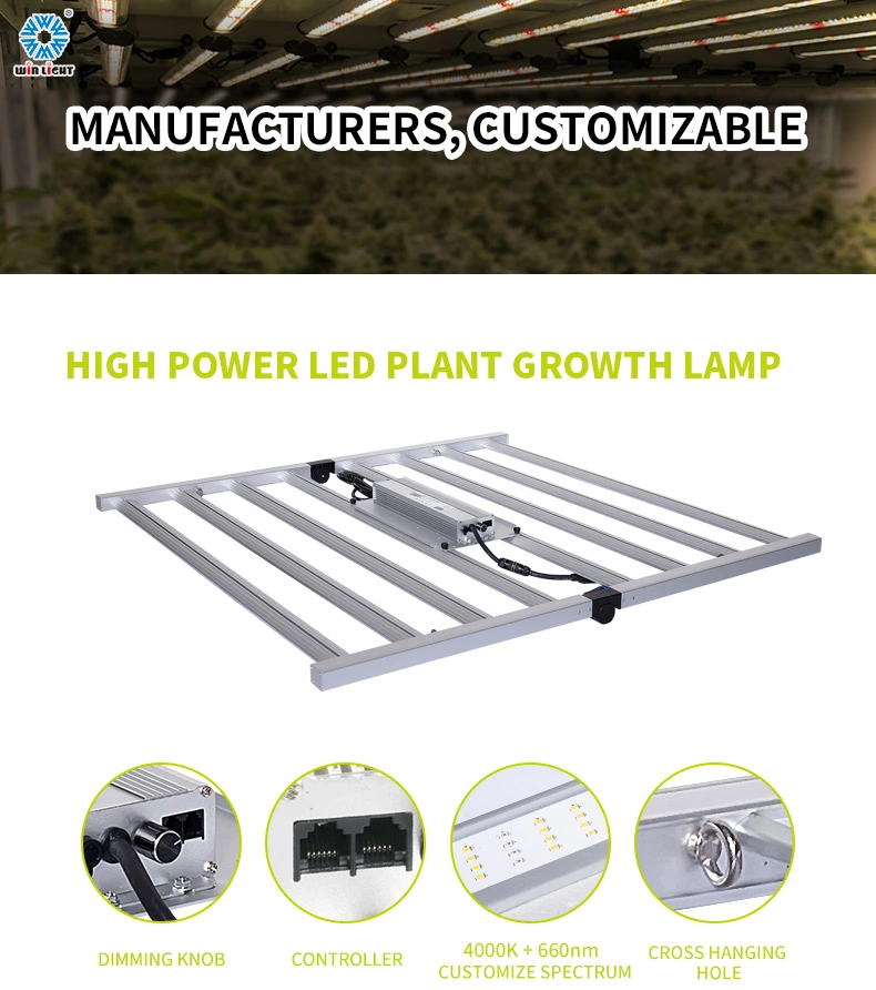 LED Horticultural Lighting LED Grow Light Bar for Flowering Stage