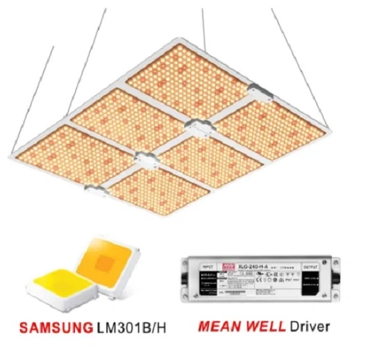 Hot Product 600W 660nm Commercial Hydroponics Full Spectrum LED Grow Light