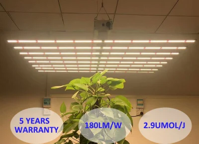 タコ商業垂直農業医療プラントフルスペクトル 640 ワットバー Spydr LED 成長ライト