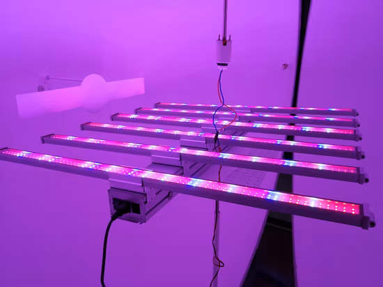 量子ボード フルスペクトル 300W/600W/800W/1000W LED 成長ライト 垂直農業/医療植物/開花/実用的な植栽