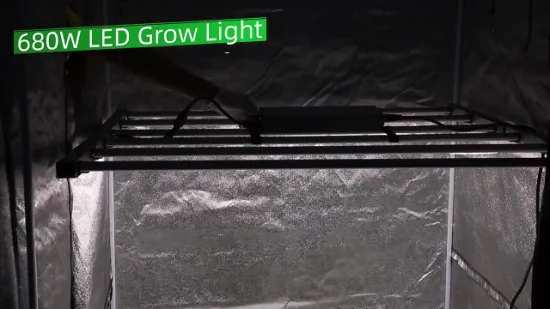ETL 卸売 320 ワット 680 ワット 800 ワット 1000 ワット曲げ可能なフルスペクトル LED 成長パネルライト Samsumg Lm301b 301h オスラムレッド屋内温室植物成長用